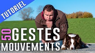 50 GESTES à APPRENDRE à mon CHIEN [upl. by Arihat]