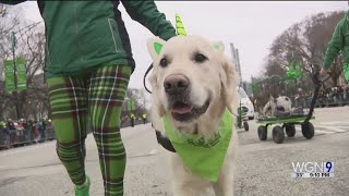 St Patricks Day parade takes over downtown Chicago [upl. by Unity]