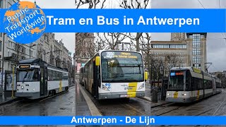 De Lijn Antwerpen Trams en Bussen [upl. by Daniels772]