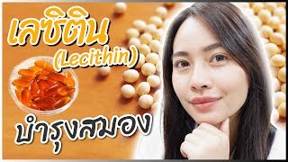 85 เลซิตินLecithin บำรุงสมอง​ เสริมสร้างความจำ โดยเภสัชกร  เภสัชท่องโลก 🌏 [upl. by Queen]