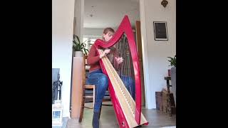 Baldurs Gate 3  I Want To Live by Borislav Slavov  Harp cover [upl. by Ocihc]