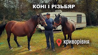 РІЗЬБЯР У МУЗИКАНТА В КРИВОРІВНІ horse коні гуцули [upl. by Lasley]