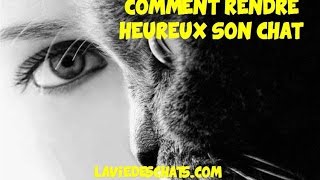 Comment rendre heureux son chat 🐱 [upl. by Worra]