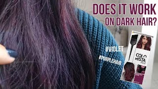 Loreal Colorista Paint Violet on Dark Hair  1 Week Update  TRY OR FRY [upl. by Naerad]