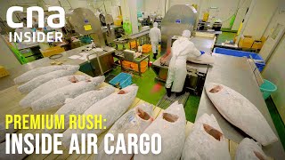 Inside An Air Cargo Hub How Goods Flow Through Singapore  Premium Rush Inside Air Cargo Singapore [upl. by Laenej14]