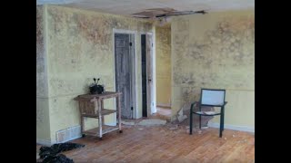 How to Recognize Signs of Mold in Your Home [upl. by Iniretake283]