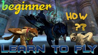 GW2 Griffon Kindergarten  a detailed guide for absolute beginners amp common mistakes debug [upl. by Gawlas563]