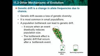 Biology CH 11  The Evolution of Populations Part 1 [upl. by Stasny]