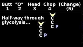 Glycolysis Mnemonic Animation 25 Easy Biochemistry Introduction Tutorial [upl. by Yauqaj211]