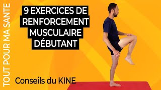 Séance de renforcement musculaire pour débutant [upl. by Ahsiekim]