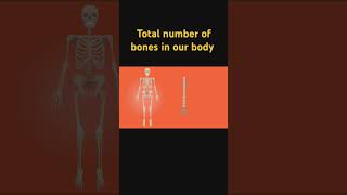 Sciencestudy277 total number of bones in our body short viral short [upl. by Hgiel]