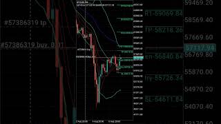 Free Forex Signal BTCUSD Buy 8 August 2024 freeforexsignals btcusd bitcoin [upl. by Ayital504]