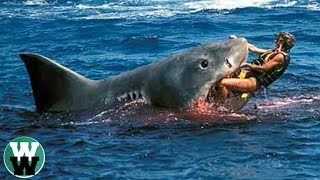 10 DEADLIEST Shark Attack Stories [upl. by Onida]