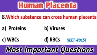 Human Placenta  embryology  developmental biology  general embryology mcq [upl. by Htebazie]