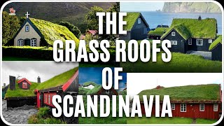 Why are GREEN  GRASS ROOF common in Scandinavia [upl. by Harriette176]