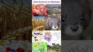 La Data Science en Biologie [upl. by Sitra]