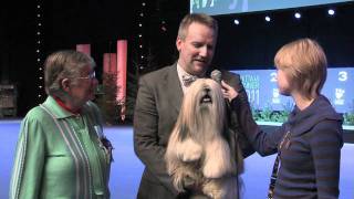 Helsinki Winner ja Voittaja 2011  Sunnuntain Best in Show kooste [upl. by Eniahs506]