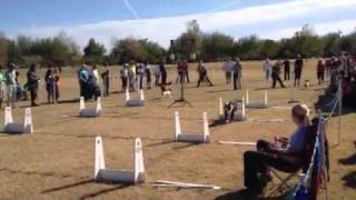 Woofstock 2011 Flyball Races [upl. by Portland91]