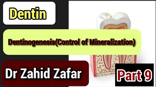 Part9 Dentin Dentinogenesis control of Mineralizationdentindentinogenesiscontrolofmineralization [upl. by Saturday]