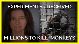 UMass Experimenter Received Millions To Torment and Kill Monkeys [upl. by Noira612]