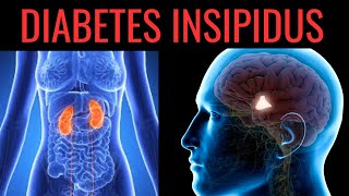 What is Diabetes Insipidus Symptoms Causes Treatment [upl. by Nniuqal]