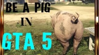 BECOME A PIG IN Grand Theft Auto GTA 5 Exact Location Of Peyote Plant SO MUCH FUN [upl. by Jagir]