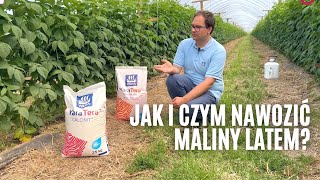 Jak i czym nawozić maliny latem [upl. by Spillihp343]