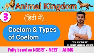 Animal Kingdom Part 3  Coelom  Class 11 NEET Biology  Pnkj Verma Sir [upl. by Jollanta]