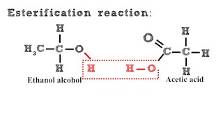 Esterification Reaction [upl. by Yramliw]