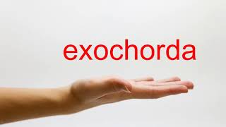 How to Pronounce exochorda  American English [upl. by Norat]