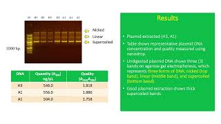 Plasmids Extrachromosomal Circular DNA used in Cloning [upl. by Hceicjow]