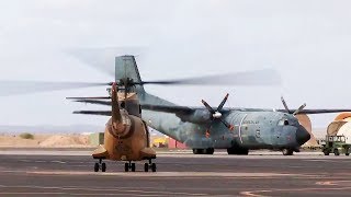 DJIBOUTI LA SENTINELLE DE LAFRIQUE [upl. by Onurb626]