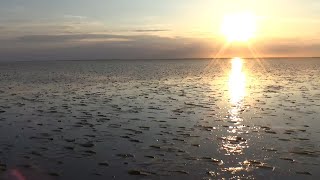 Walking 7 kilometres into the North Sea during low tide [upl. by Nylla175]