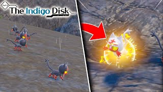 HOW TO FIND SHINY LITTEN IN POKEMON VIOLET Best Location Shown  Indigo Disk DLC [upl. by Johnsson45]