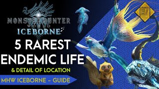 5 RAREST ENDEMIC LIFE INCLUDE TROPHY amp DETAIL OF LOCATION  MHW ICEBORNE GUIDE [upl. by Elisabet]