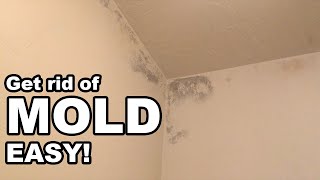 How to Get Rid of Mold in the Bathroom Easy [upl. by Francklyn]