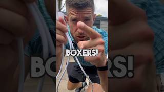 BOXERS💥🥊 TRY THIS JUMP ROPE LADDER DRILL boxing doubleunders jumprope skipping boxingtraining [upl. by Roberts]