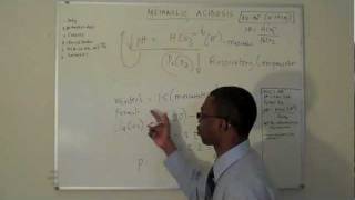 Metabolic acidosis Part 3 [upl. by Saks]