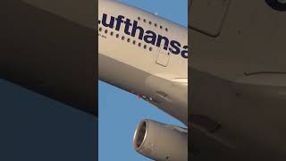 MAJESTIC WINGWAVE LUFTHANSA AIRBUS A380 staytuned automobile fighteraircraft aviation [upl. by Town782]