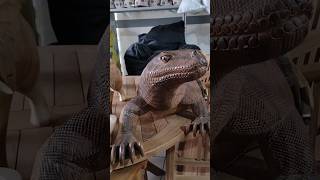 Beautiful Wooden Monitor Lizard Sculpture sofiaqueencom garden art [upl. by Mariette]