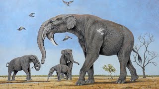 Deinotherium  Prehistoric Elephants [upl. by Nibot]