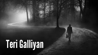 Teri Galiyan Slowed  Reverb Ek Villain  Total Lofi Song Channel  Textaudio [upl. by Gerardo]