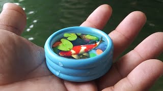 WORLDS SMALLEST Pool FISH POND [upl. by Cecilio]