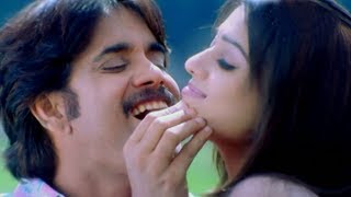 Boss Songs  Andagadu Muttukunte  Nagarjuna Nayantara [upl. by Krystle]