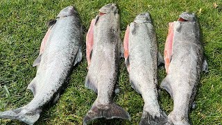 Klickitat River Fishing for Kings [upl. by Septima]