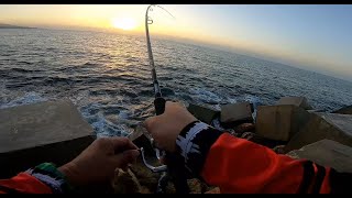 How to Inshore Jigging [upl. by Nelyt]