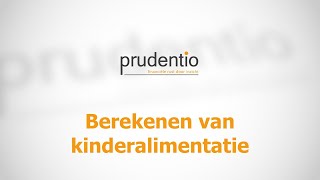 Kinderalimentatie berekenen  Prudentio [upl. by Einapets954]