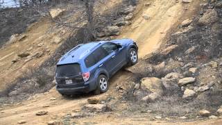 Northwest OHV Park High Top hill climb Subaru Forester Off Road [upl. by Renraw]