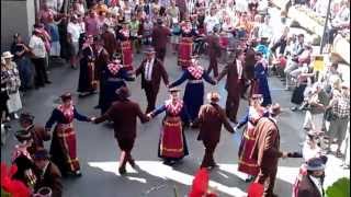 Traditional Swiss Dance [upl. by Ellennad]