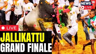 Jallikattu LIVE 2024  Madurai Jallikattu  Udhaynidhi Stalin At Allanganallur Jallikattu  N18L [upl. by Airetal]